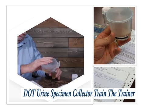 dot specimen collector salary|dot urine collector.